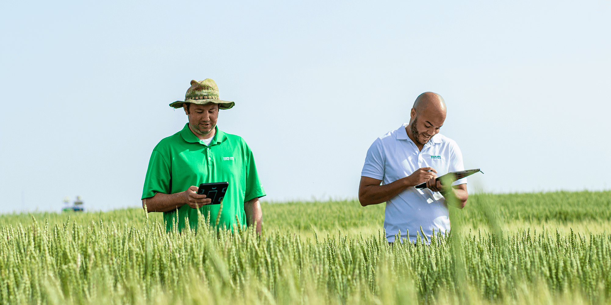 Grow-Pro-Genetics-Plot-Field-8006