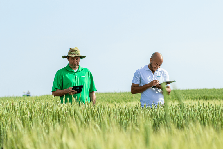 Grow-Pro-Genetics-Plot-Field-8006